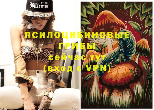 ALPHA PVP Белокуриха