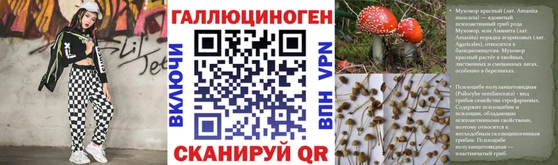 купить   Хасавюрт  Псилоцибиновые грибы прущие грибы 